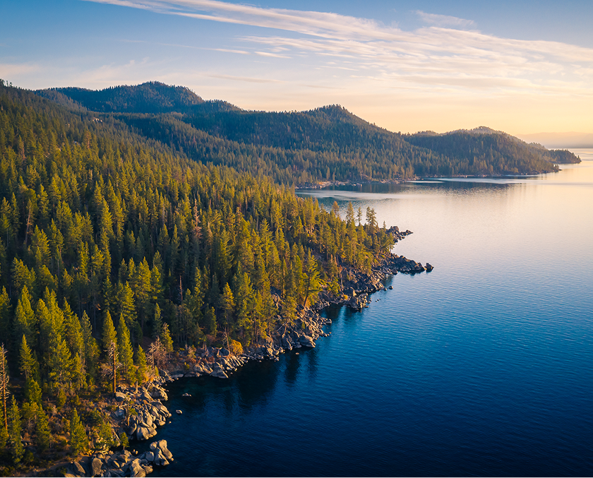 Forest and lake under a clear sky.